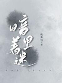 暗里着迷这首歌表达什么意思