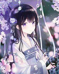钓系弱美人车镜像