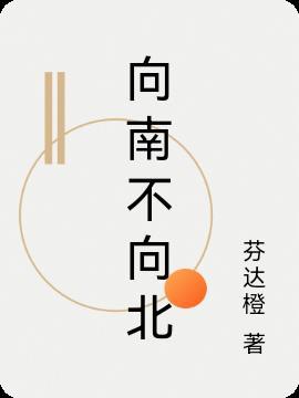 往北向南的意思