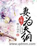 红楼之宠妻如玉