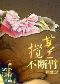 jd027之神雕侠侣